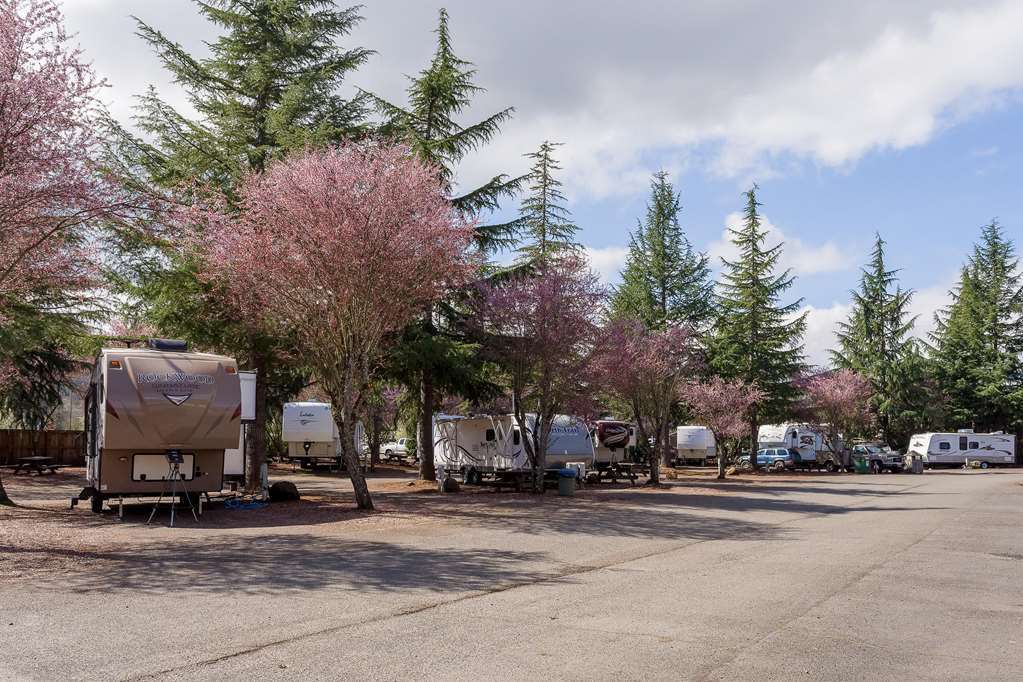 The Village Green Cottage Grove Facilities photo